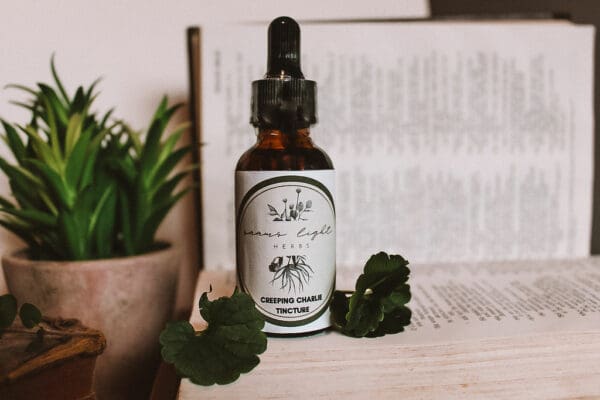 Creeping Charlie Tincture