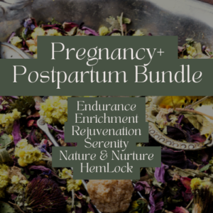 Pregnancy + Postpartum Bundle