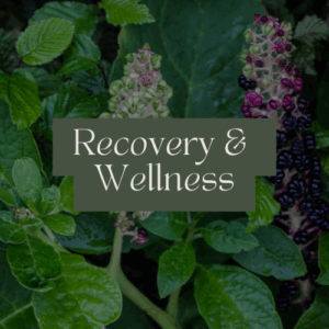 Recovery & Wellness Tincture